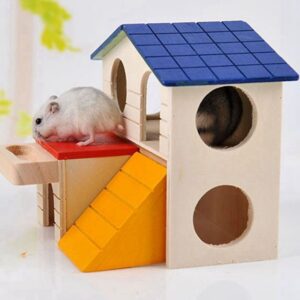 La maisonnette de mon hamster russe