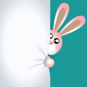 Sac de voyage pour lapin nain