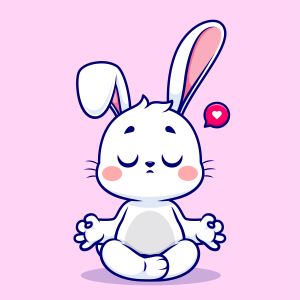 lapin nain