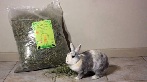 Foin de crau pour lapin nain