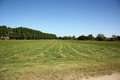 Foin de crau pour lapin AOP/AOC – Image 2