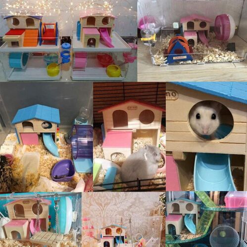 Maisonnette hamster tobogan et toit bleu