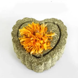 Friandise à grignoter