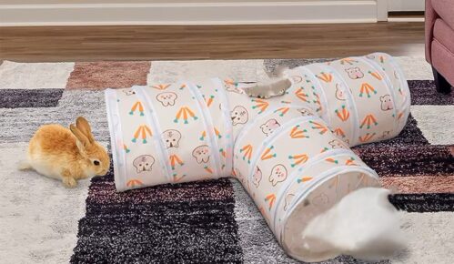 Tunnel de jeu pour lapin nain et hamsters